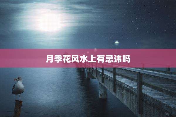 月季花风水上有忌讳吗