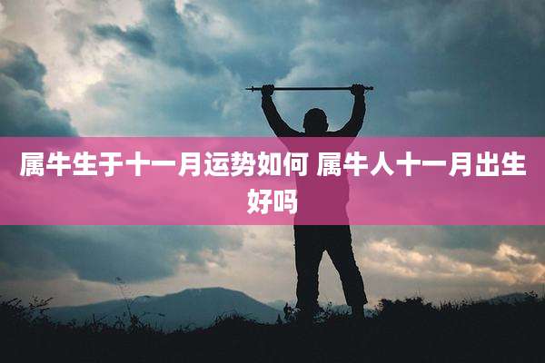 属牛生于十一月运势如何 属牛人十一月出生好吗