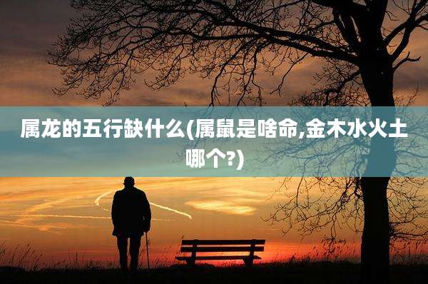 属龙的五行缺什么(属鼠是啥命,金木水火土哪个?)