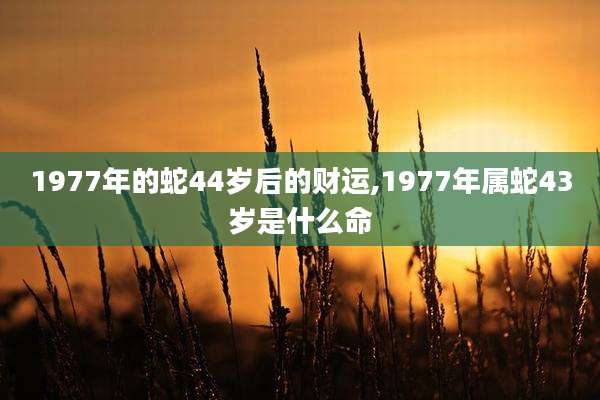 1977年的蛇44岁后的财运,1977年属蛇43岁是什么命