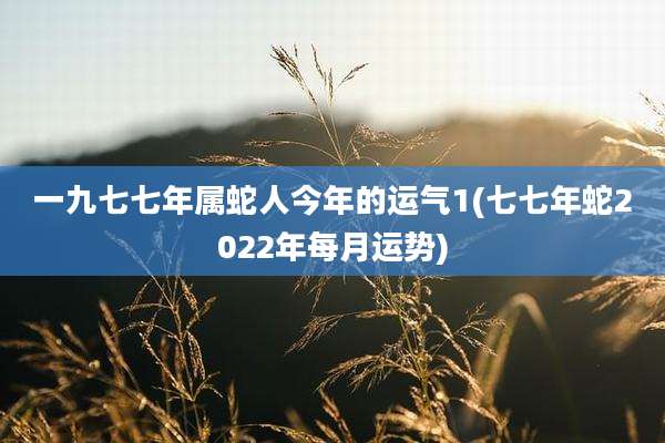 一九七七年属蛇人今年的运气1(七七年蛇2022年每月运势)