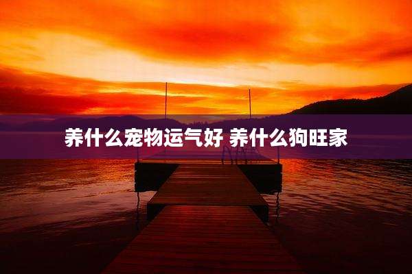 养什么宠物运气好 养什么狗旺家
