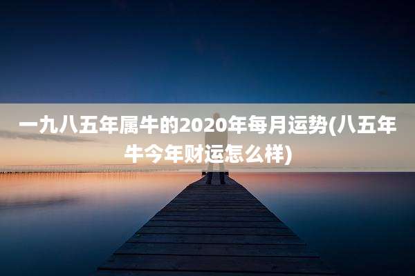 一九八五年属牛的2020年每月运势(八五年牛今年财运怎么样)