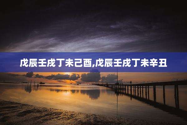 戊辰壬戌丁未己酉,戊辰壬戌丁未辛丑