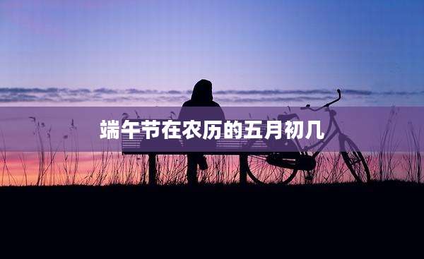 端午节在农历的五月初几