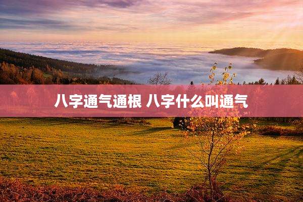 八字通气通根 八字什么叫通气