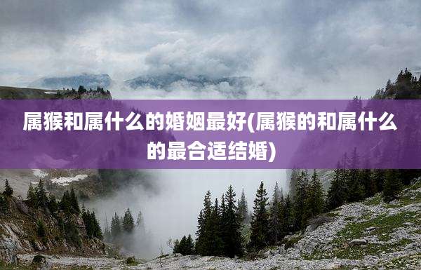 属猴和属什么的婚姻最好(属猴的和属什么的最合适结婚)