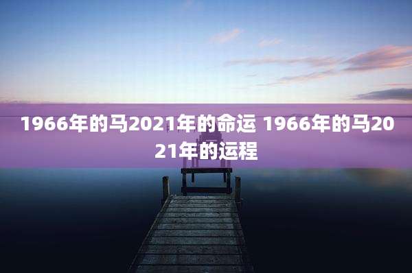 1966年的马2021年的命运 1966年的马2021年的运程
