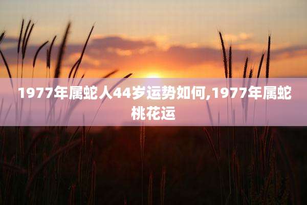 1977年属蛇人44岁运势如何,1977年属蛇桃花运