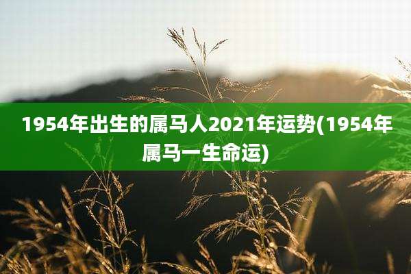 1954年出生的属马人2021年运势(1954年属马一生命运)