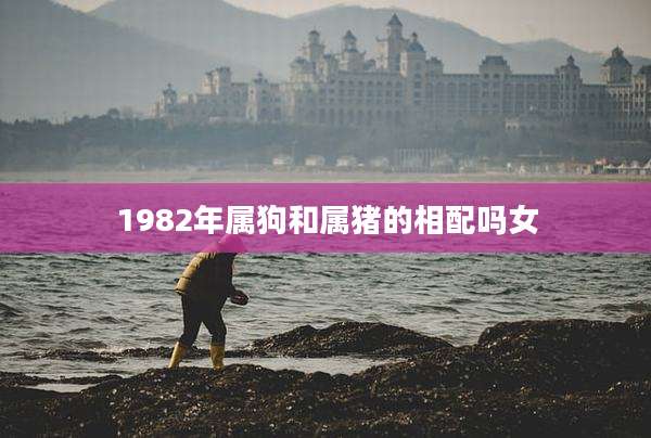 1982年属狗和属猪的相配吗女