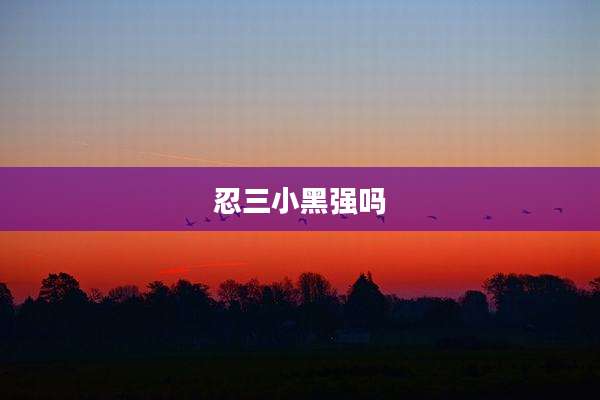 忍三小黑强吗