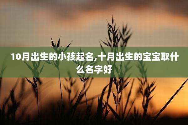 10月出生的小孩起名,十月出生的宝宝取什么名字好