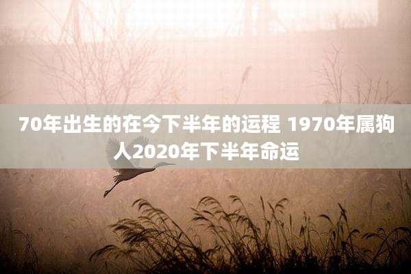 70年出生的在今下半年的运程 1970年属狗人2020年下半年命运