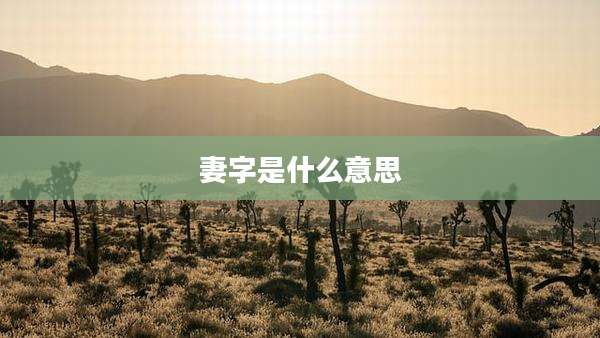 妻字是什么意思