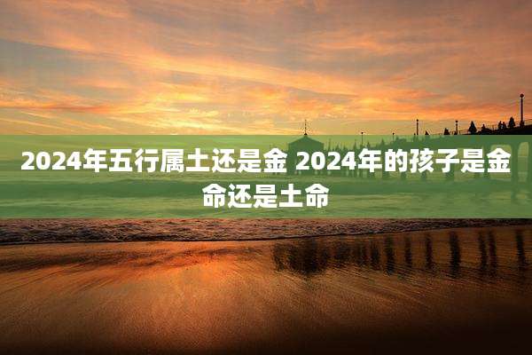 2024年五行属土还是金 2024年的孩子是金命还是土命