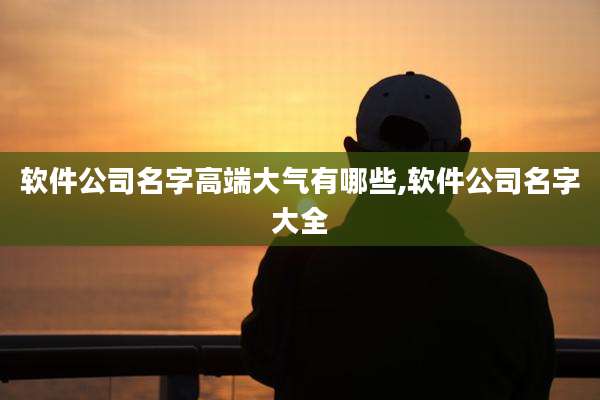 软件公司名字高端大气有哪些,软件公司名字大全