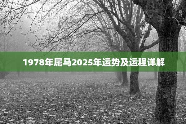 1978年属马2025年运势及运程详解