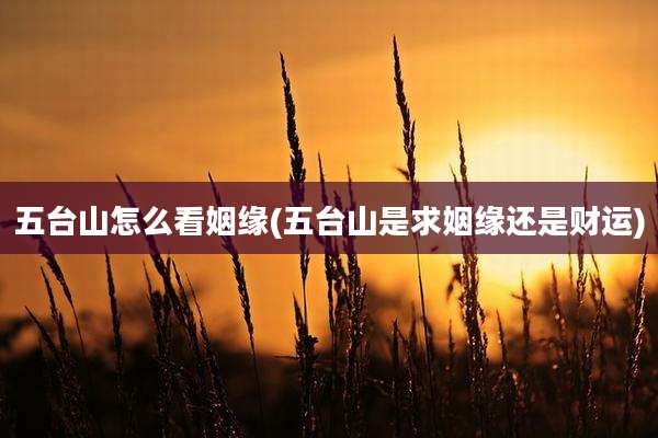 五台山怎么看姻缘(五台山是求姻缘还是财运)
