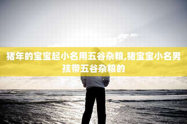 猪年的宝宝起小名用五谷杂粮,猪宝宝小名男孩带五谷杂粮的