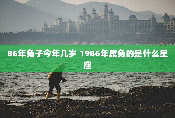 86年兔子今年几岁 1986年属兔的是什么星座