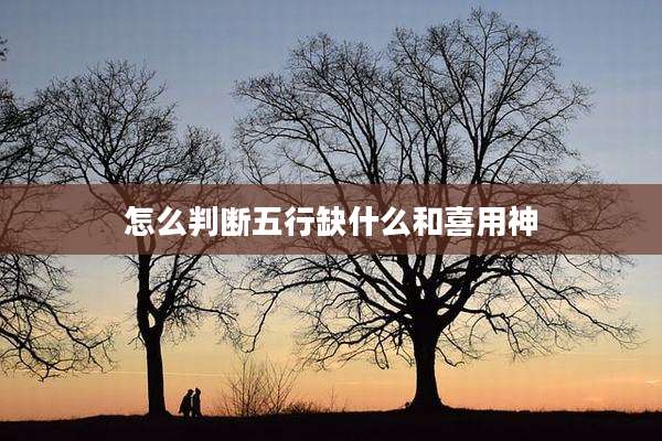 怎么判断五行缺什么和喜用神