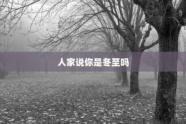 人家说你是冬至吗