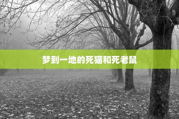 梦到一地的死猫和死老鼠