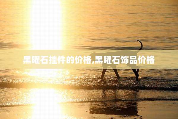 黑曜石挂件的价格,黑曜石饰品价格