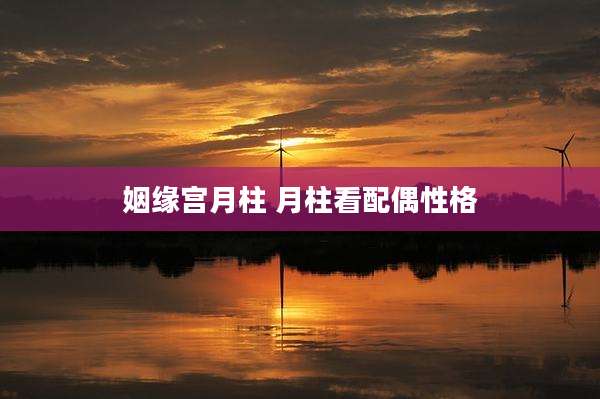 姻缘宫月柱 月柱看配偶性格
