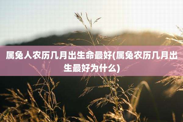 属兔人农历几月出生命最好(属兔农历几月出生最好为什么)
