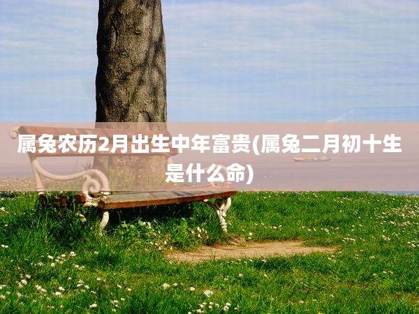 属兔农历2月出生中年富贵(属兔二月初十生是什么命)