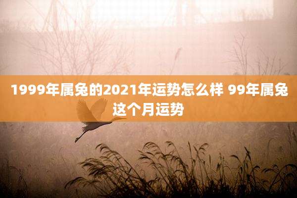 1999年属兔的2021年运势怎么样 99年属兔这个月运势