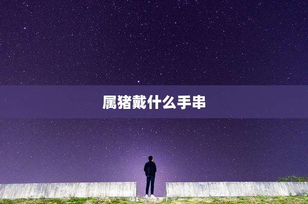 属猪戴什么手串