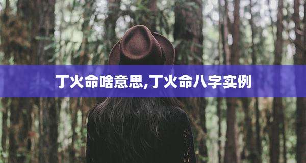 丁火命啥意思,丁火命八字实例
