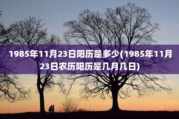 1985年11月23日阳历是多少(1985年11月23日农历阳历是几月几日)