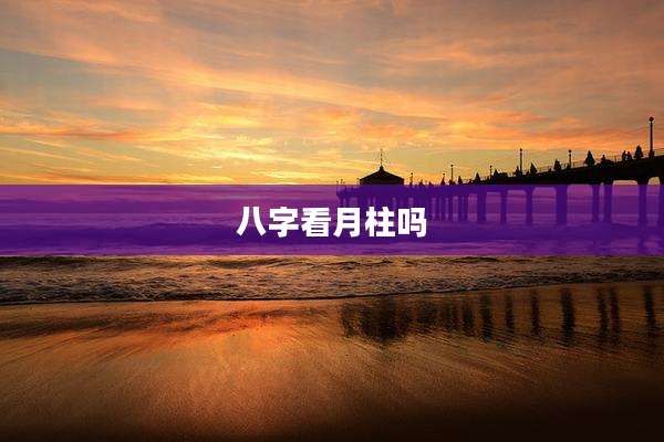 八字看月柱吗