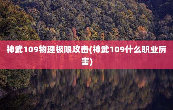 神武109物理极限攻击(神武109什么职业厉害)