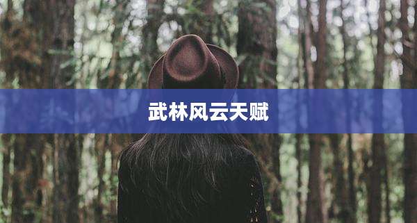 武林风云天赋