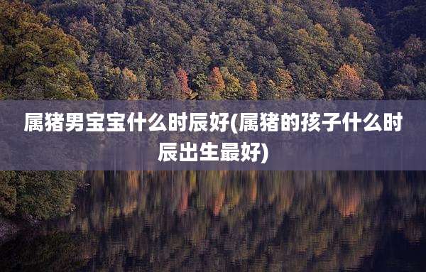 属猪男宝宝什么时辰好(属猪的孩子什么时辰出生最好)