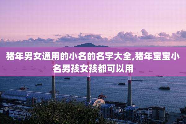猪年男女通用的小名的名字大全,猪年宝宝小名男孩女孩都可以用