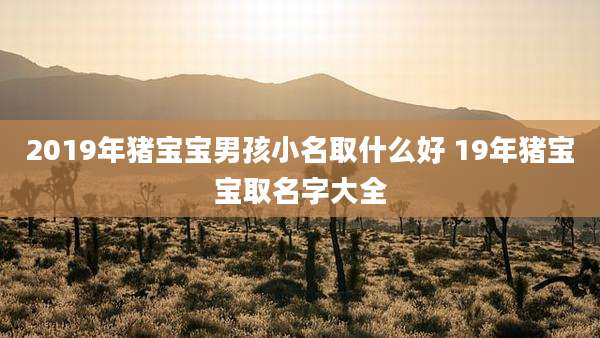 2019年猪宝宝男孩小名取什么好 19年猪宝宝取名字大全