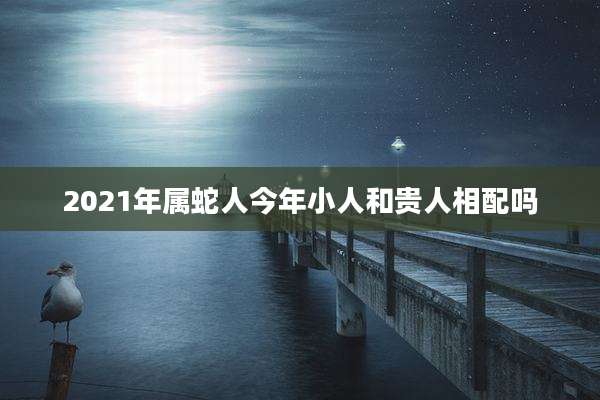 2021年属蛇人今年小人和贵人相配吗