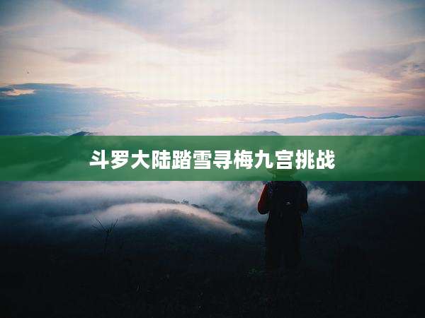 斗罗大陆踏雪寻梅九宫挑战