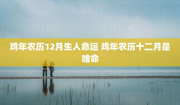 鸡年农历12月生人命运 鸡年农历十二月是啥命