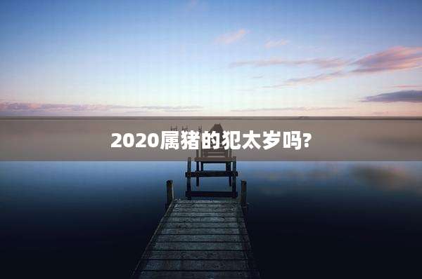 2020属猪的犯太岁吗?