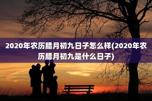 2020年农历腊月初九日子怎么样(2020年农历腊月初九是什么日子)