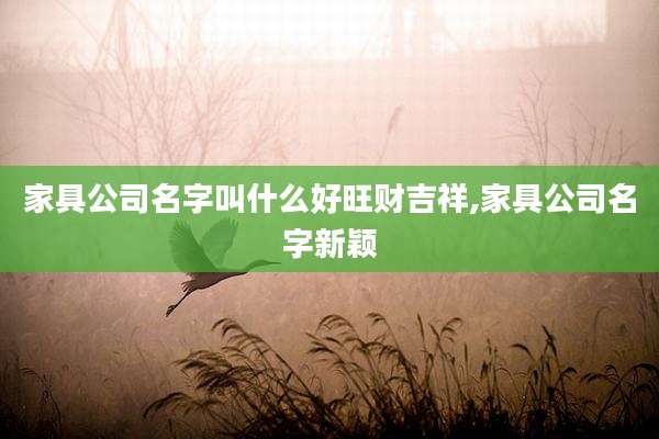 家具公司名字叫什么好旺财吉祥,家具公司名字新颖