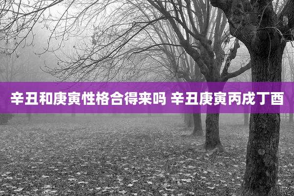 辛丑和庚寅性格合得来吗 辛丑庚寅丙戌丁酉