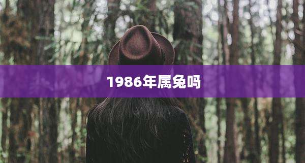 1986年属兔吗